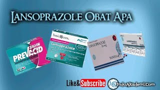 Lansoprazole Obat Apa