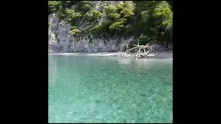 Download Lagu Motivational Word Just in case you need it  #seventeen #kpop #idol #CaraMel MP3