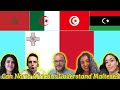 Can North Africans Understand Maltese?