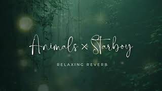 Animals X Starboy s slowed  Reverb  Tiktok Remix   Pahadi Lofi