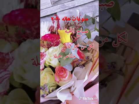 صباح الفل والورد والياسمين