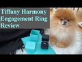 Tiffany Harmony Engagement Ring Review