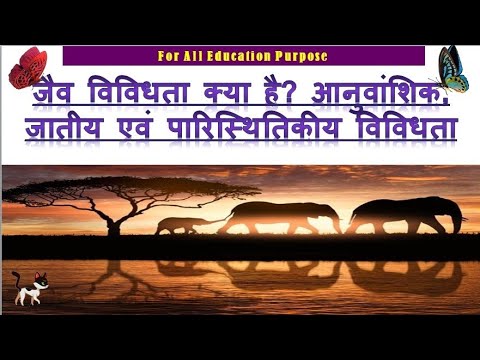 वीडियो: अर्धसूत्रीविभाजन आनुवंशिक विविधता के लिए क्यों महत्वपूर्ण है?