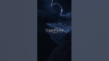 القارئ اسلام صبحي {وفي الارض آيات للموقنين} #قران_كريم 🤲🍃