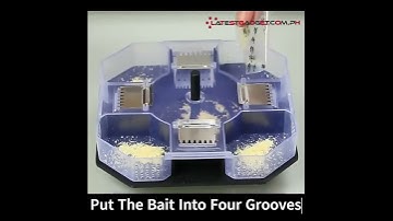 Cockroach Catcher Box Trap