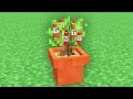 i crafted a tnt tree