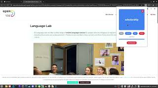 Level Up Your Language Skills with Lexi Learn – Easy Chrome Extension Tutorial! screenshot 5