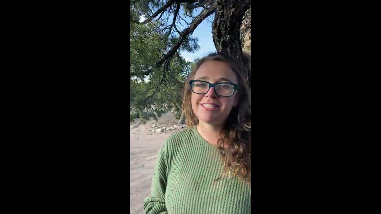 Medicinal Uses of Pinon Sap