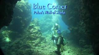 Blue Corner:  Palau&#39;s Wall of Sharks  PREVIEW