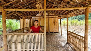 Make a kitchen with palm leaves, make a wall with bamboo - Farm life - Lý Thị Sai