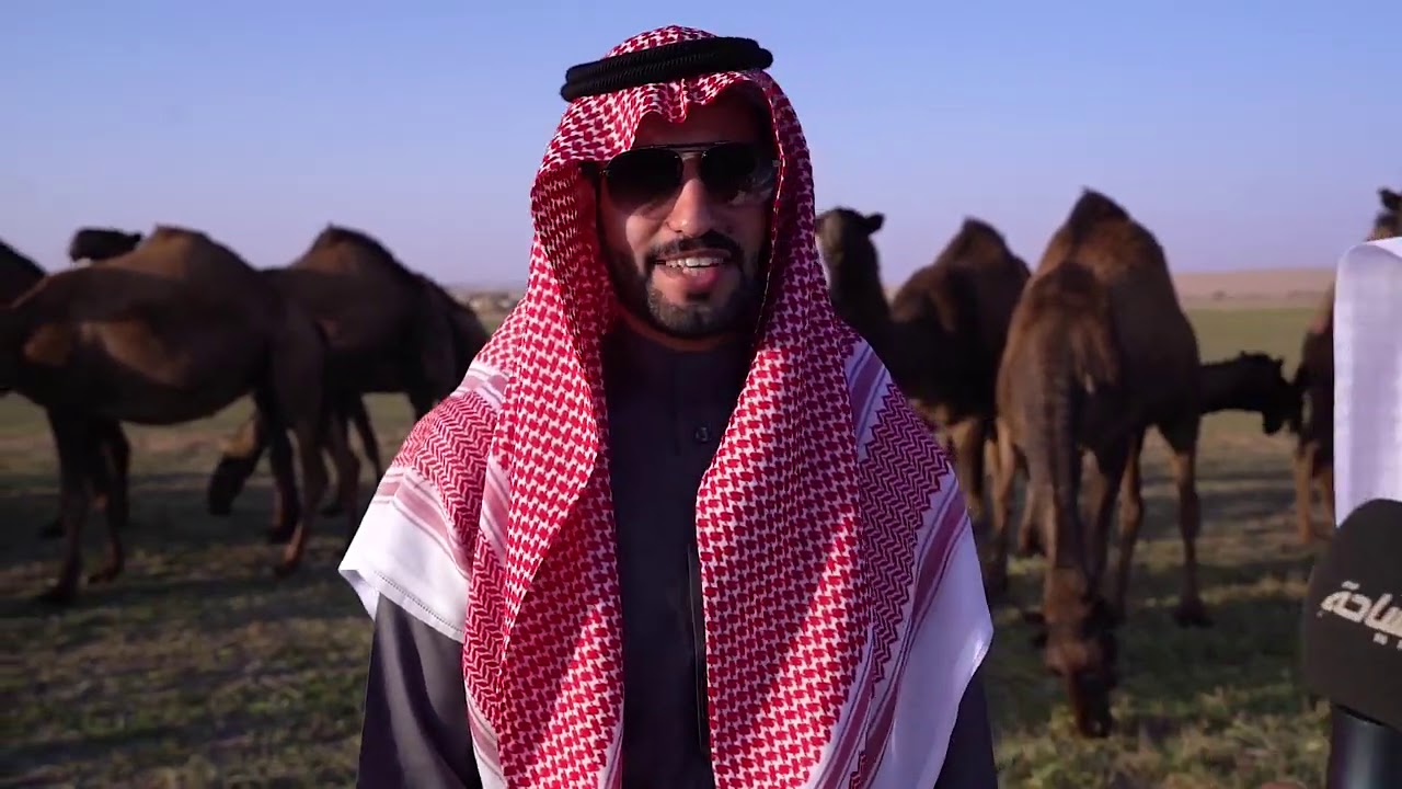 لقاء وعرض منقية / الشيخ احمد عبدالله التويجري مع الاعلامي فرحان المطرفي