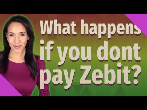 Video: Zebit crea credito?