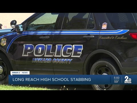 Long Reach High School student on the run after allegedly stabbing fellow student