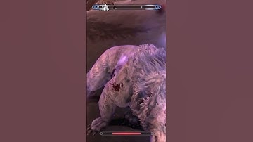 That looked like it hurt (SKYRIM - MASTER DIFFICULTY)