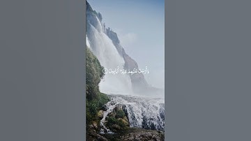 سورة الفيل || الشيخ فارس عباد