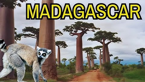 Wonders of Madagascar - The best place to visit in Madagascar (Travel Video)