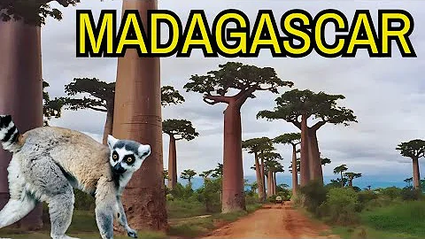 Wonders of Madagascar - The best place to visit in Madagascar (Travel Video)