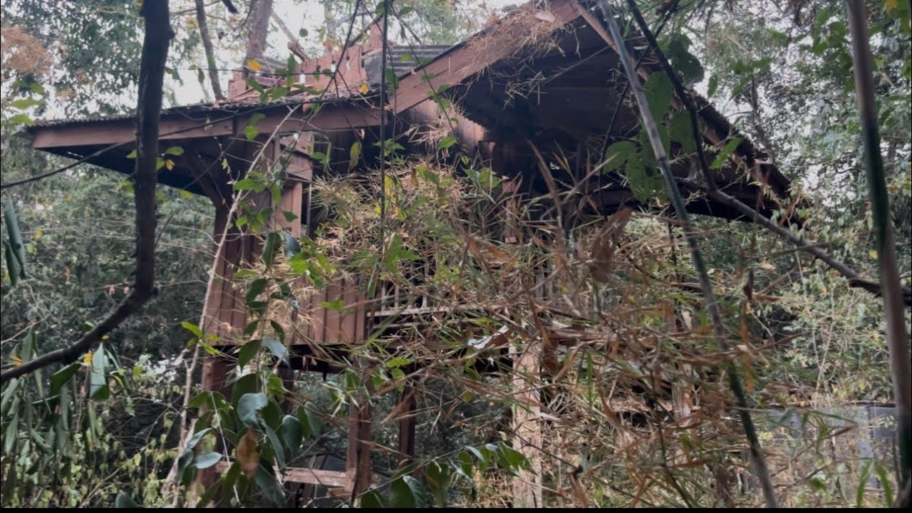 เข้ามาพิสูจน์สถานที่เฮี้ยน   (ได้เจอดี) ผีตนนี้เฮี้ยนมากๆ ￼ จะตามผมกลับบ้านด้วย