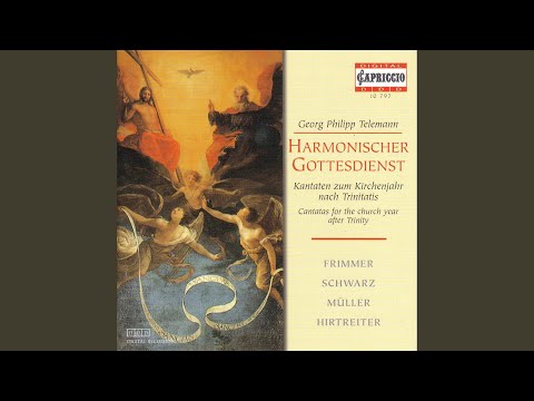 Verfolgter Geist Wo Twv 1 1467 Aria Verfolgter Geist Wohin Youtube