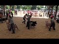 Sheridan County Fair