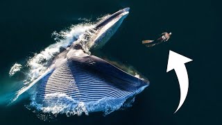 This Man Survived Being Eaten Alive.