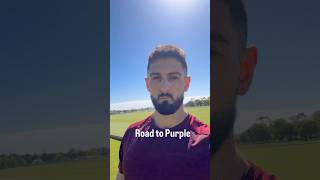 Road to Jiu Jitsu Purple Belt