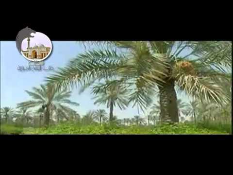 بحرين بلد السلام