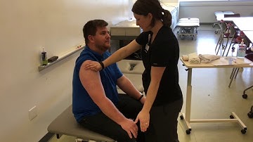 Movement in Context ROM/MMT (Furlong)