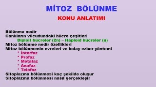 7.Sınıf Mitoz Bölünme Hücre Ve Bölünmeler Konu Anlatımı -2