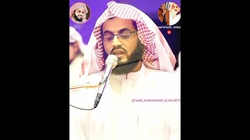 شيخ رعد محمد الكردي ( سورة النجم ) #short