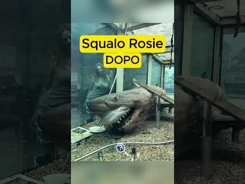i 5 luoghi