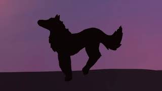 Wolf run cycle