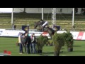 Sir Henry S Donaueschingen 23 9 2011