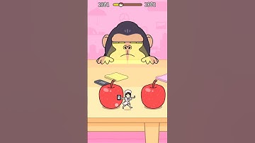 Hide and Seek: Cat Escape! Level 2802 #viral #shorts