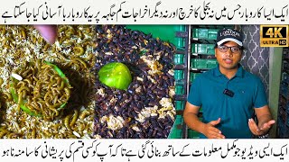 Mealworm and Super Worms Successful Farming in Pakistan | نہائت کم خرچ میں منافح بخش کاروبارکا موقع