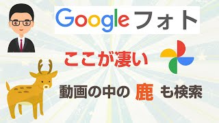 Googleフォト 無料のうちに昔のビデオをGoogleフォトに自動で保存する方法