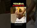 容赦なく崩れ去ったパパのプライドw