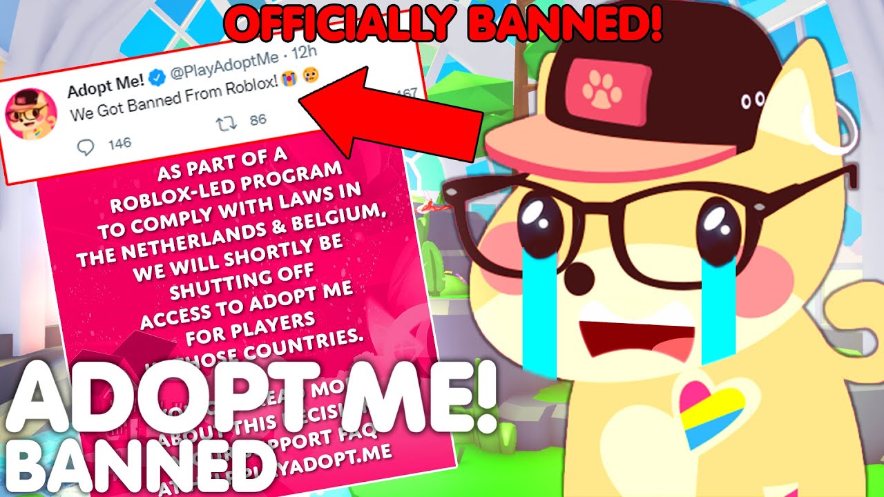 getting banned from adopt me for 5 days for using star pets