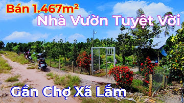 21/9/2022 🔴 Nhà Vườn Đẹp Khó Tả - Gần UB Xã - Chợ - Trường Học thuộc Cái Bè - Tiền Giang