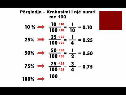 19 Përqindja - YouTube