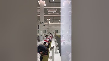 الشيخ / ناصر القطامي ( عشائيه من سورة فصلت)