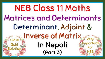 Class 11 Maths || Matrices and Determinants Part 3 || Determinant, Adjoint and Inverse of Matrix