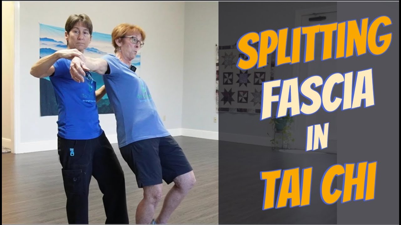 Секреты тайцзи: «Разделение» для контроля фасций в технике «Один кнут» и «Разделение гривы дикой ...