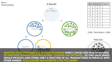 Elrond, tech overview