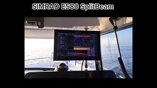 ES80 Sport fishing Split-Beam