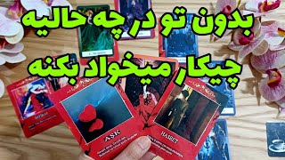 ❤️ونسا تاروت❤️ازش پرسیدم بدون تو در چه حالیه؟چیکار میخواد بکنه؟❤️#فال_تاروت