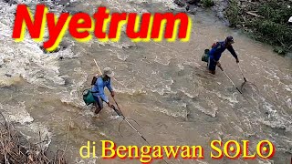 Ada 7 orang nyetrum ikan disungai bengawan solo dapat banyak