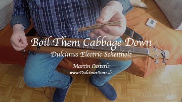 Boil Them Cabbage Down - Electric Scheitholt - Martin Oesterle