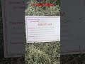 Công dụng của Giảo Cổ Lam (LH. 0985.113.004)