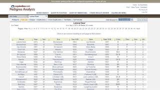 equineline Pedigree Analysis Program Researching 6X Pedigrees